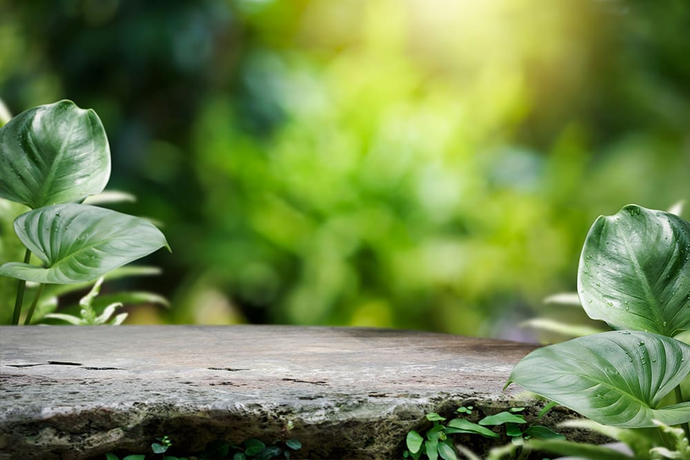 Womens health wiseman family practice womens health wiseman family practice