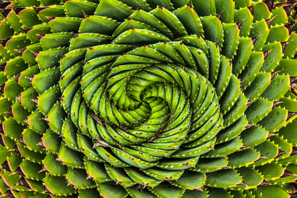 sauna therapy for mind and body